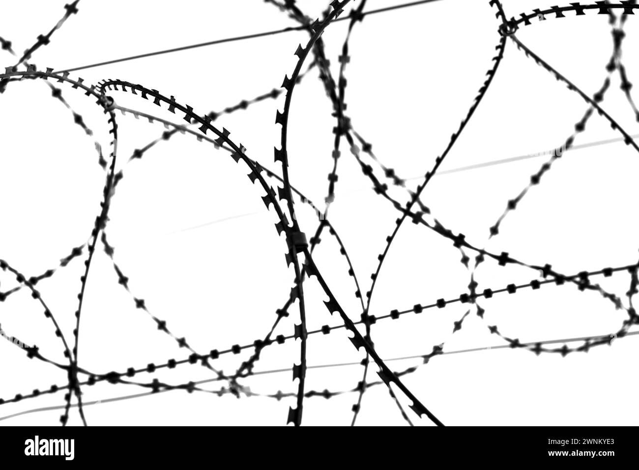 Black silhouette of barbed wire on a white background, isolated Stock ...