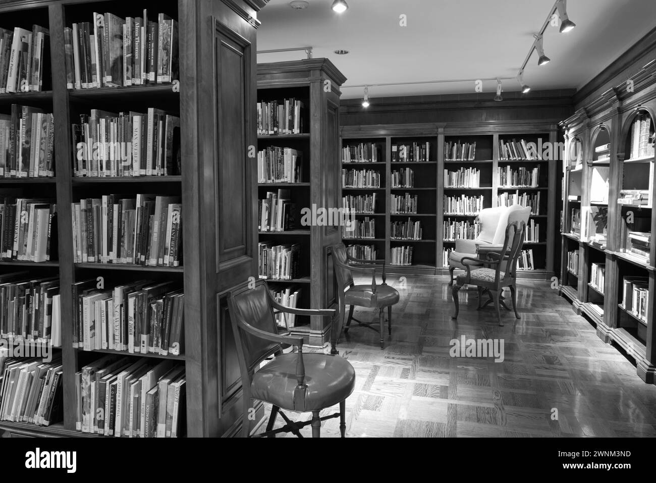 Art books on shelves, at The Sheppy Dog Library at the Flint Institute of Arts, Flint Michigan USA Stock Photo