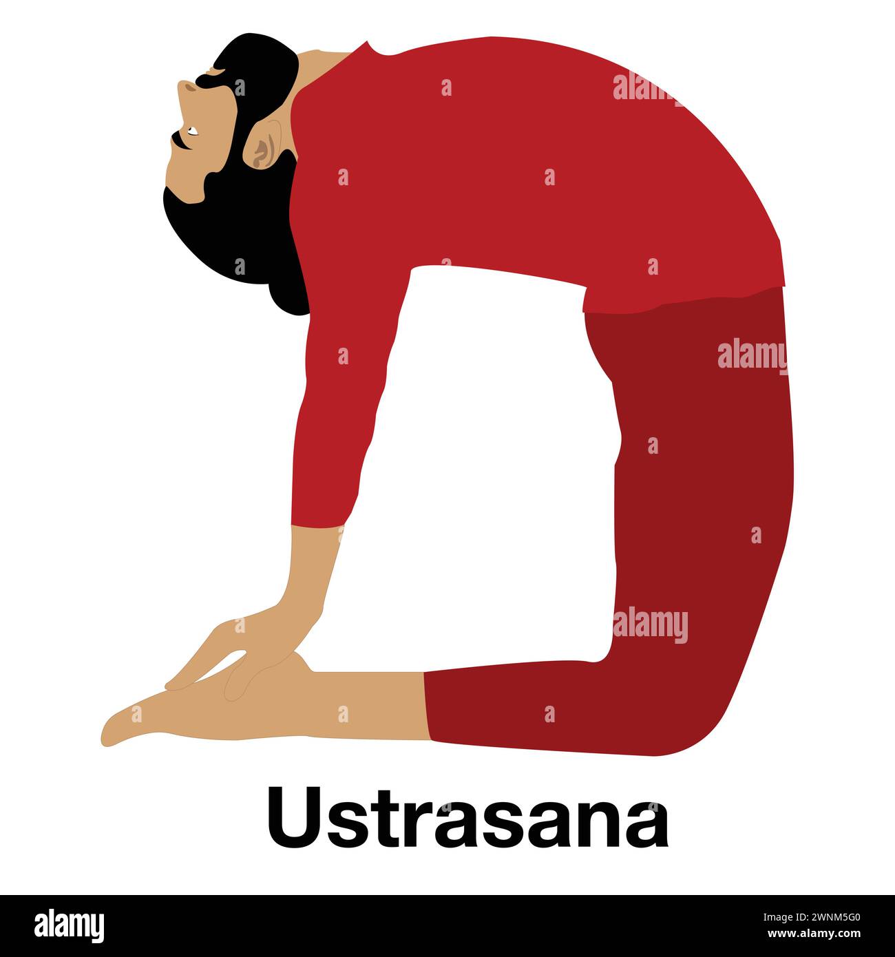 Ustrasana yoga pose vector illustration Stock Vector