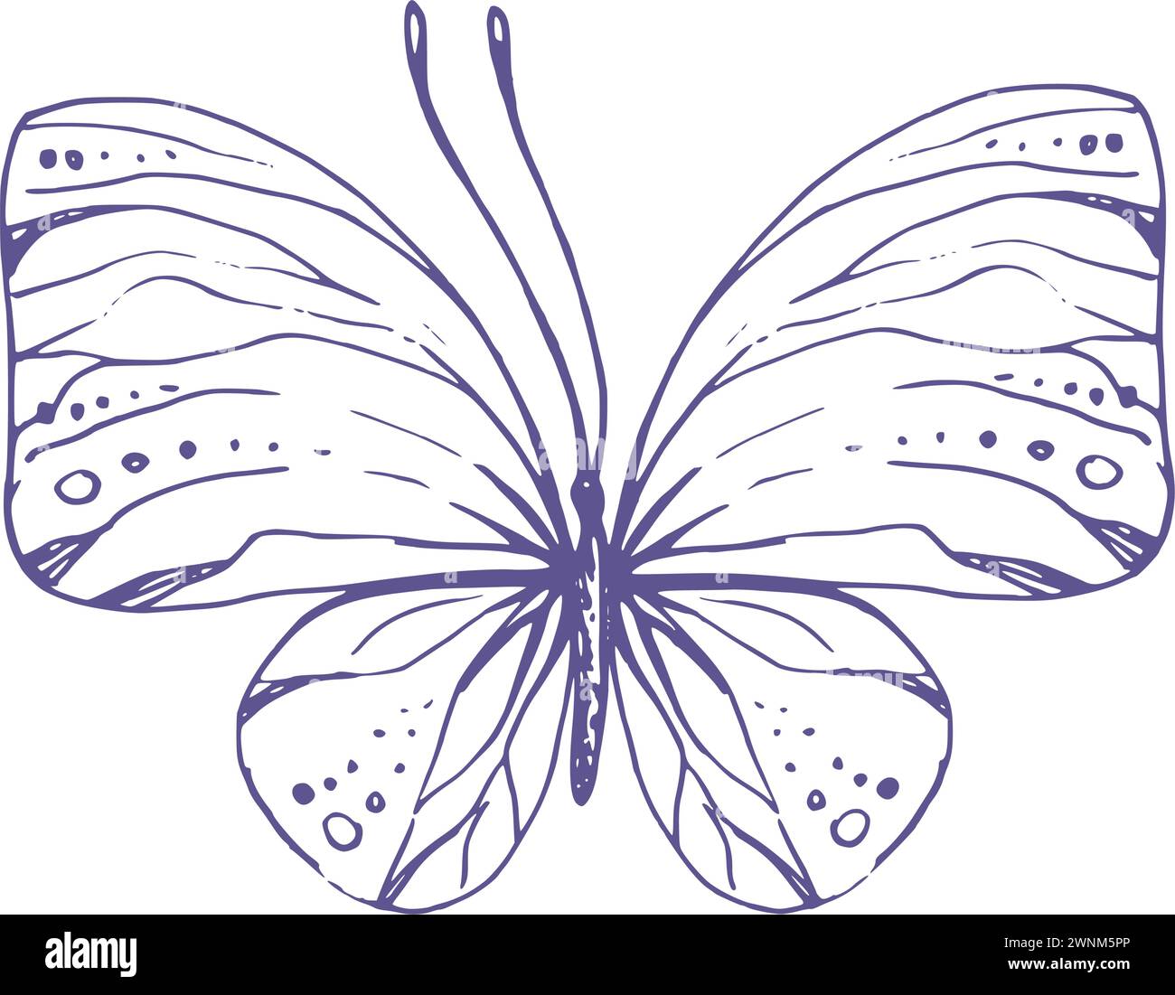 Butterfly wing patterns Stock Vector Images Alamy