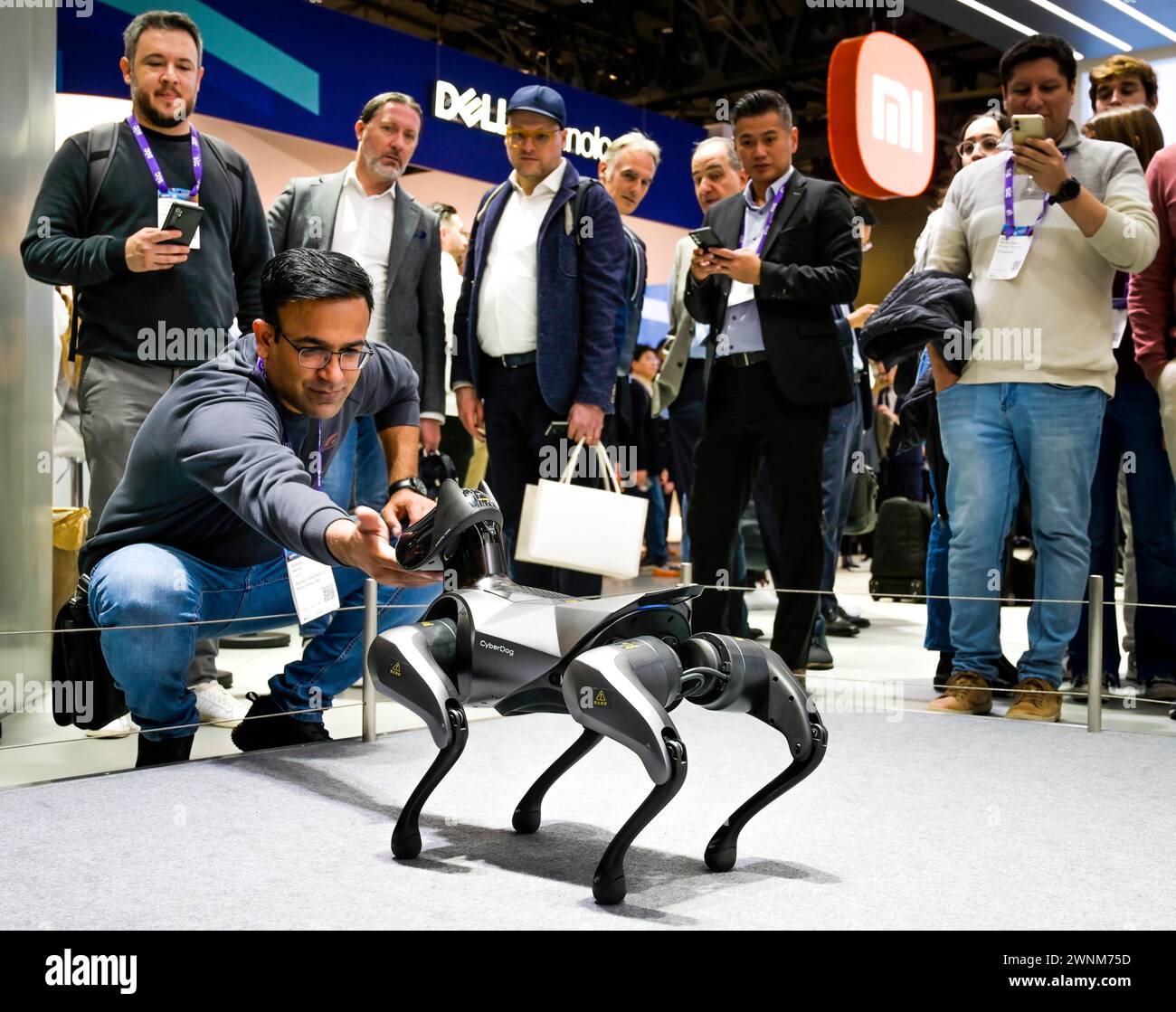 Cyberdog 2.0 robot dog, MWC Mobile World Congress 2024, Barcelona, Spain Stock Photo