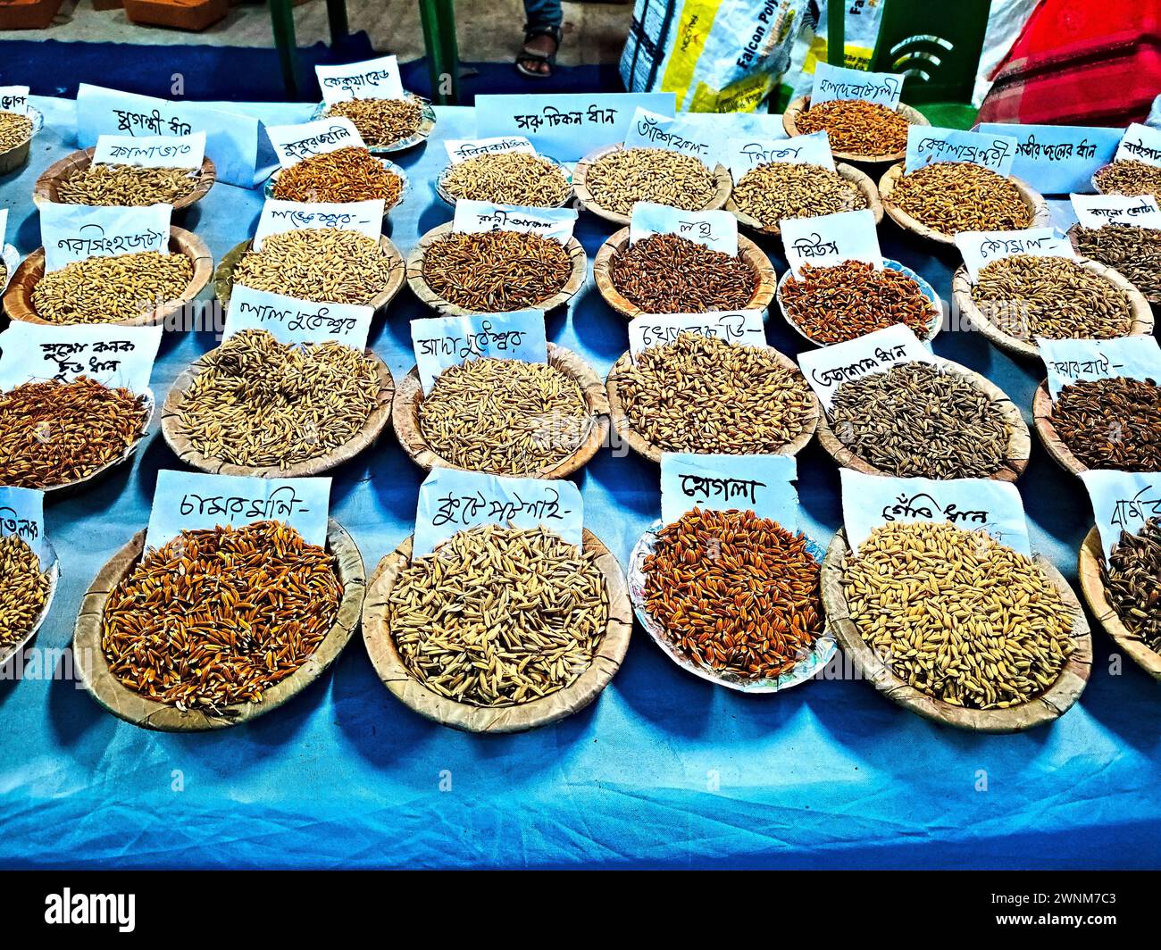 Raiganj West Bengal India 25.02.2024 collection of different rice