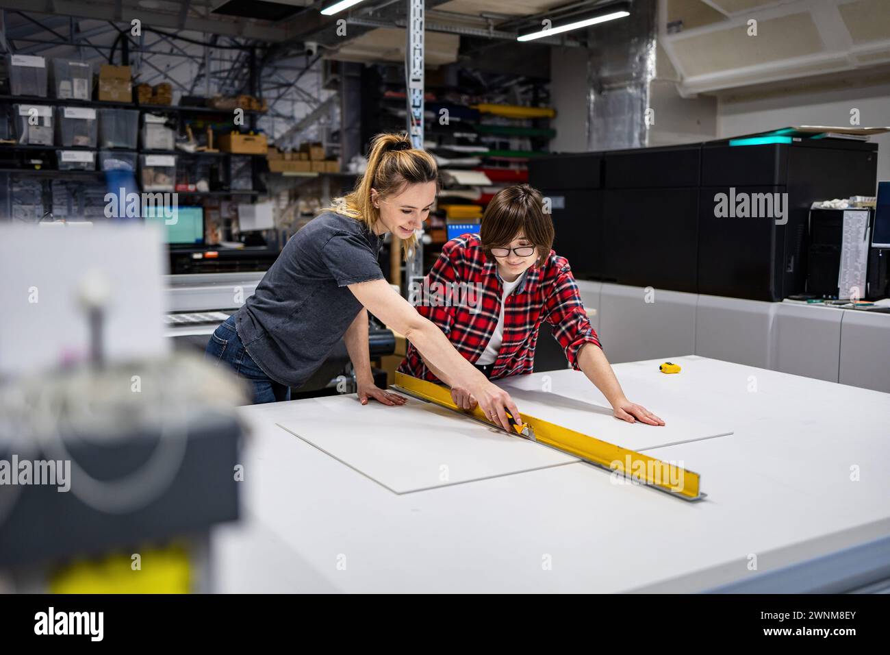 Professional female employees working in a printing house Stock Photo