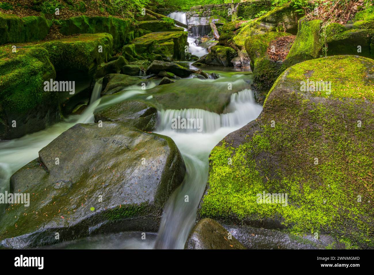 Healey Dell Nature Reserve Stock Photo - Alamy