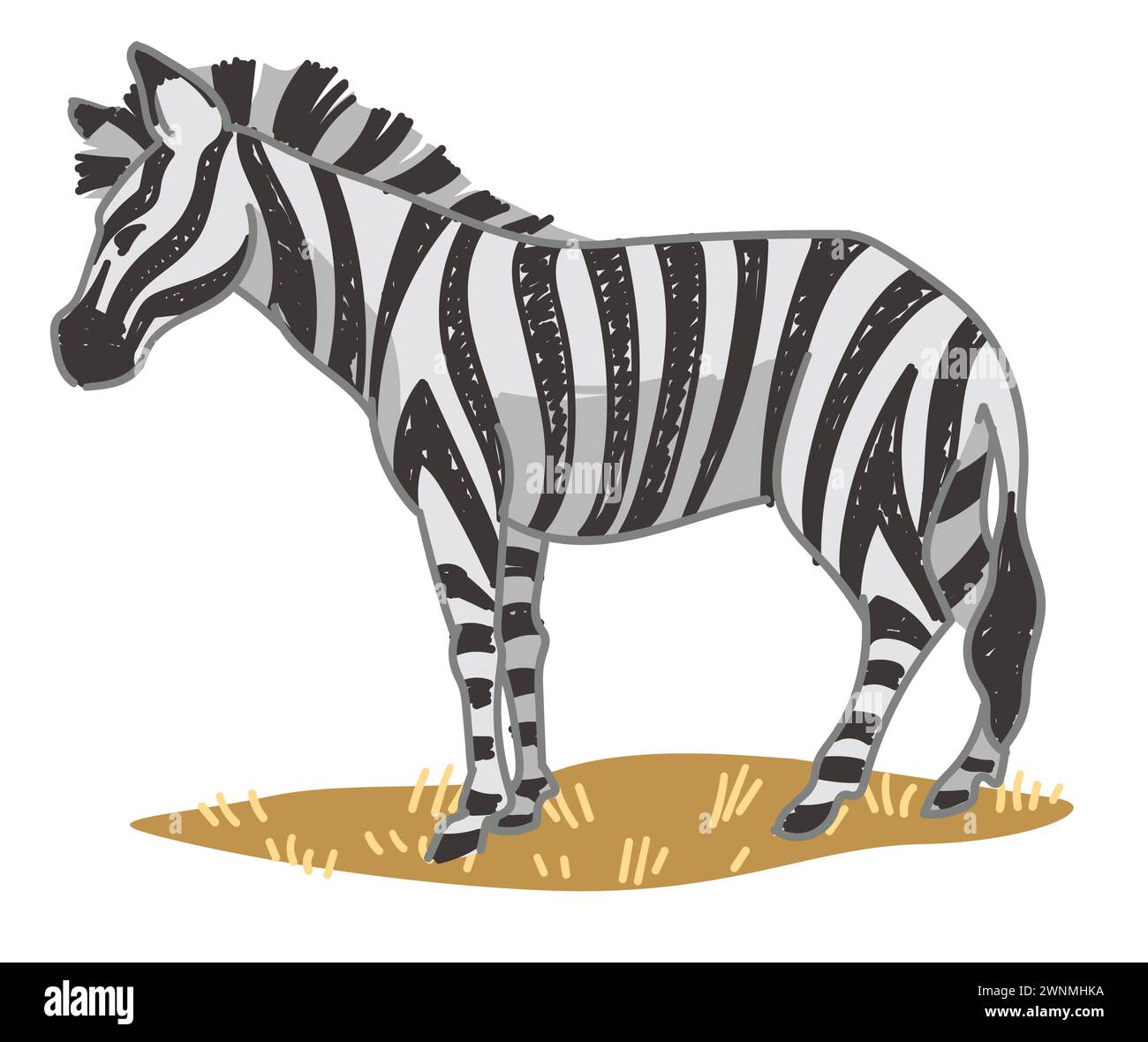 Zebra equine animal with stripes on skin vector Stock Vector Image ...