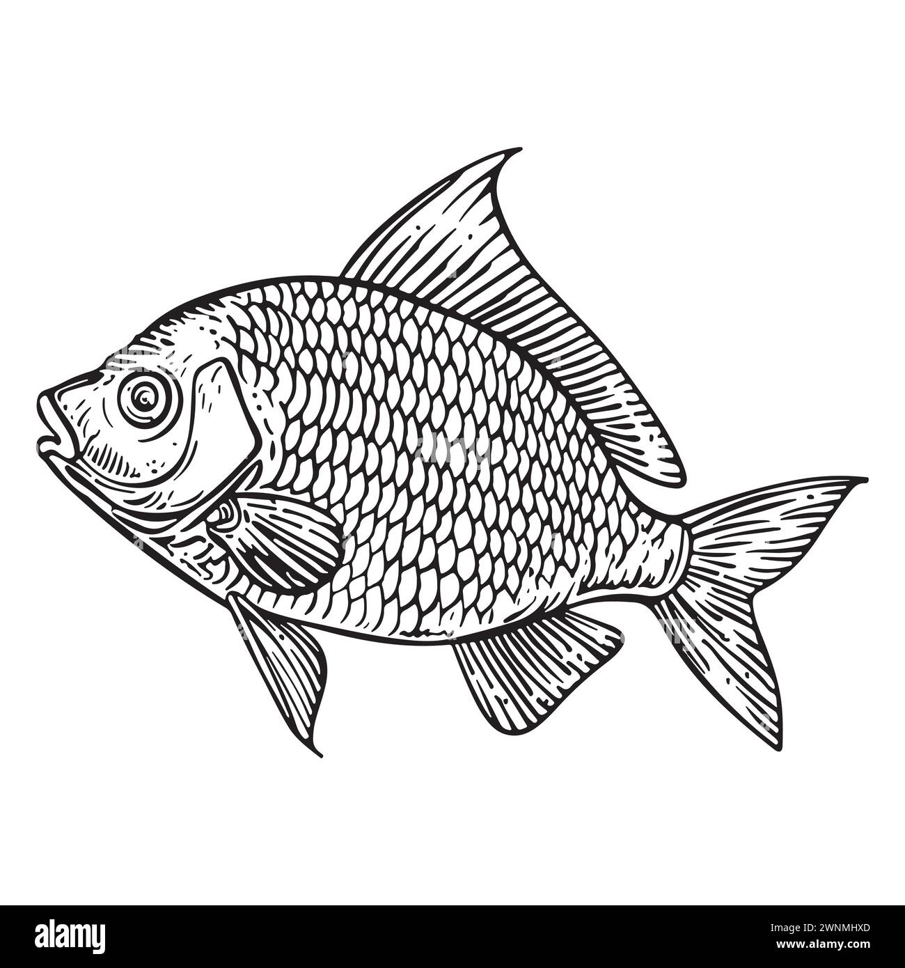 Hand Drawn Outline Sketch Fishes. Ink Drawing Sea Creature Mascot Stock