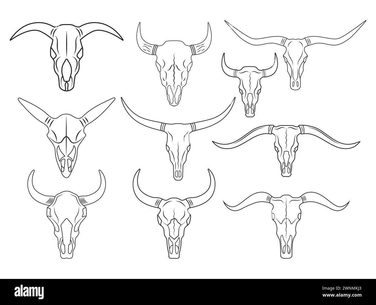 Bull Skull Vector, Bull Skull Bundle, Bull Skull Vector, Bull Skull Split, Bull skull silhouette, Bull Skull Vector, Horns , Horns Vector Stock Vector