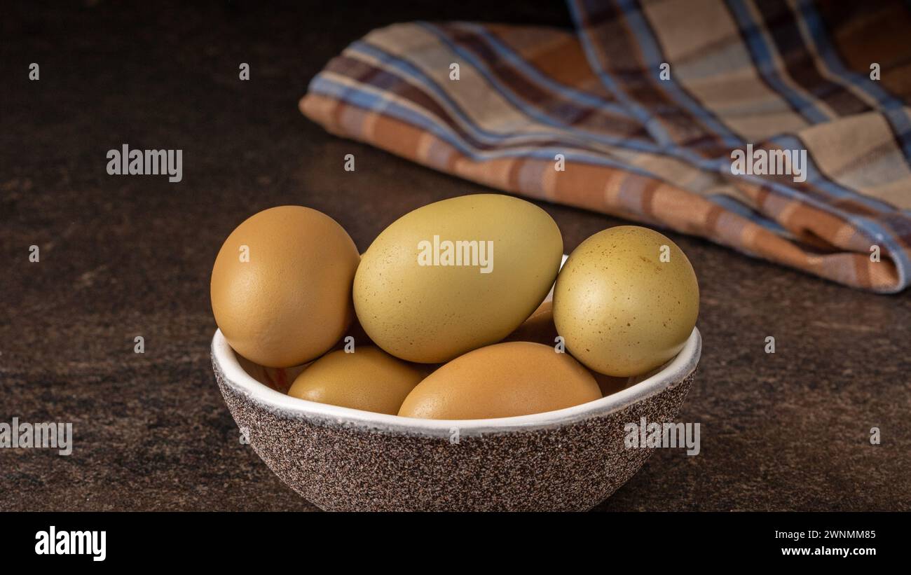 Distinctive grey-green shell chicken eggs showcasing the unique qualities and variety in poultry farming, representing the individuality of each chick Stock Photo