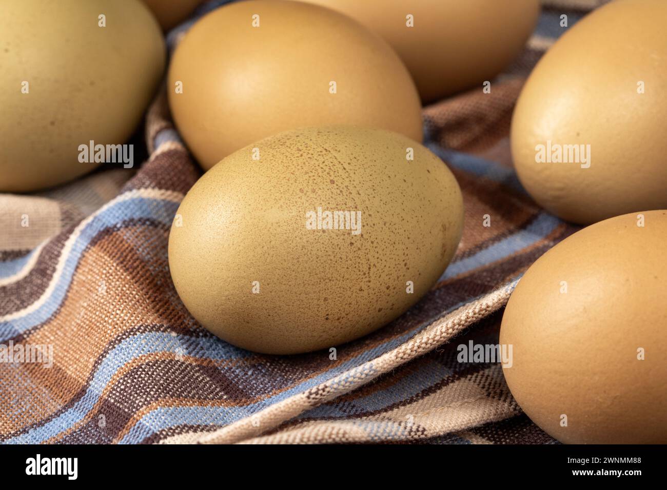 Close-up of uncommon grey-green chicken eggs, showcasing the natural beauty of poultry produce. The unique color tones highlight the natural diversity Stock Photo