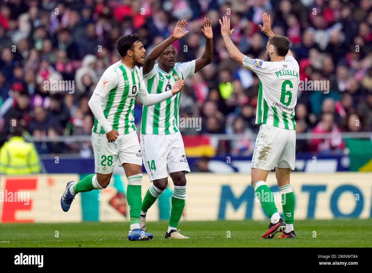 Madrid, Spain. 03rd Mar, 2024. William Carvalho of Real Betis celebrates after scoring the 2-1 during the La Liga EA Sports, date 27 between Atletico de Madrid and Real Betis played at Civitas Metropolitano Stadium on March 3, 2024 in Madrid, Spain. (Photo by Cesar Cebolla/PRESSINPHOTO) Credit: PRESSINPHOTO SPORTS AGENCY/Alamy Live News Stock Photo