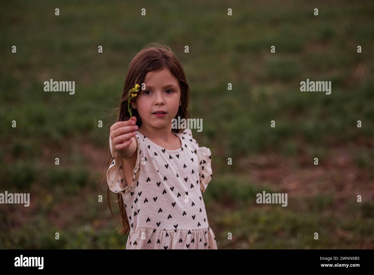 Little girl in dress holds out yellow flowers, capturing moment of