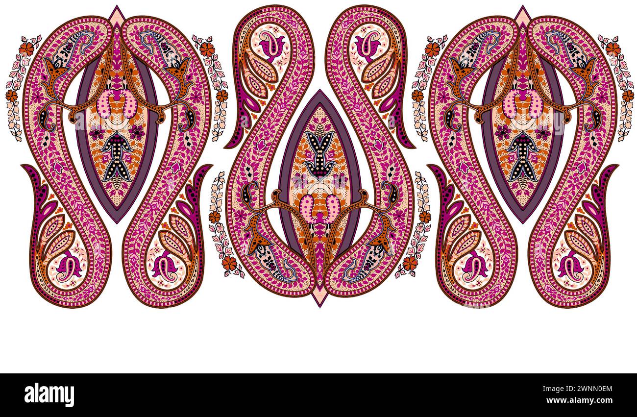 textile digital colorful paisley motif design Stock Vector