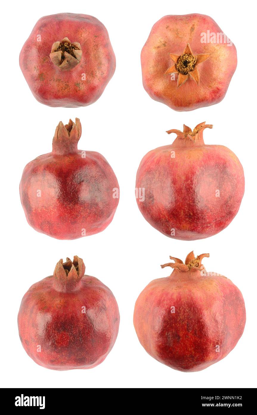 Collection pomegranates from different angles isolated on white background. Stock Photo