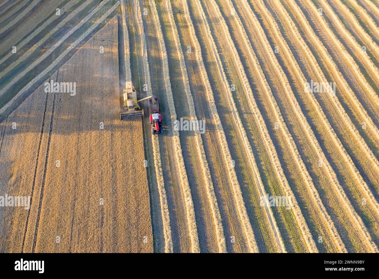 Aerial view of a Combine harvester and a tractor harvesting the wheat