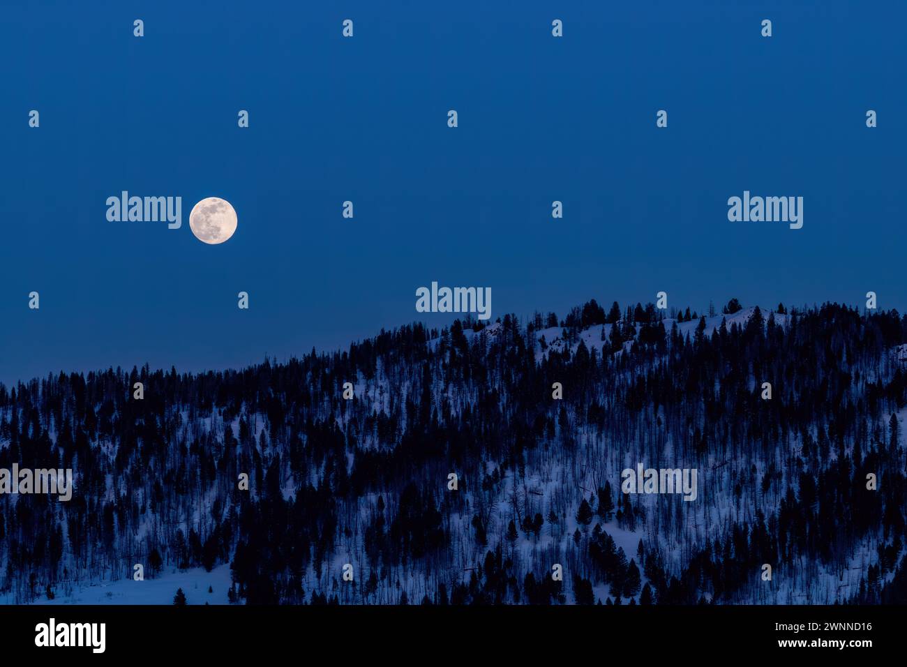Snow Moon full over winter wilderness in Idaho Stock Photo