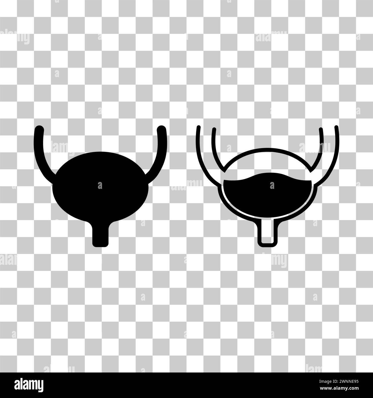Set of Urology health human icon, anatomy medical body bladder sign ...
