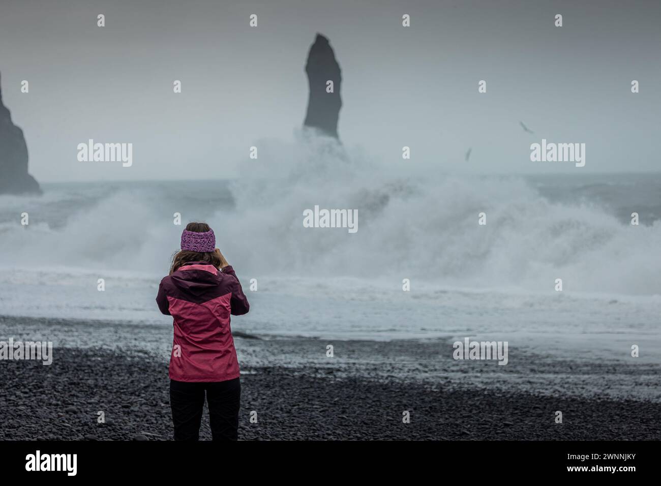 Unknown woman photographing Reynisfjara beach in Iceland with big basalt pillars climbing from water and rocky beach. Cold windi place at the beach wi Stock Photo