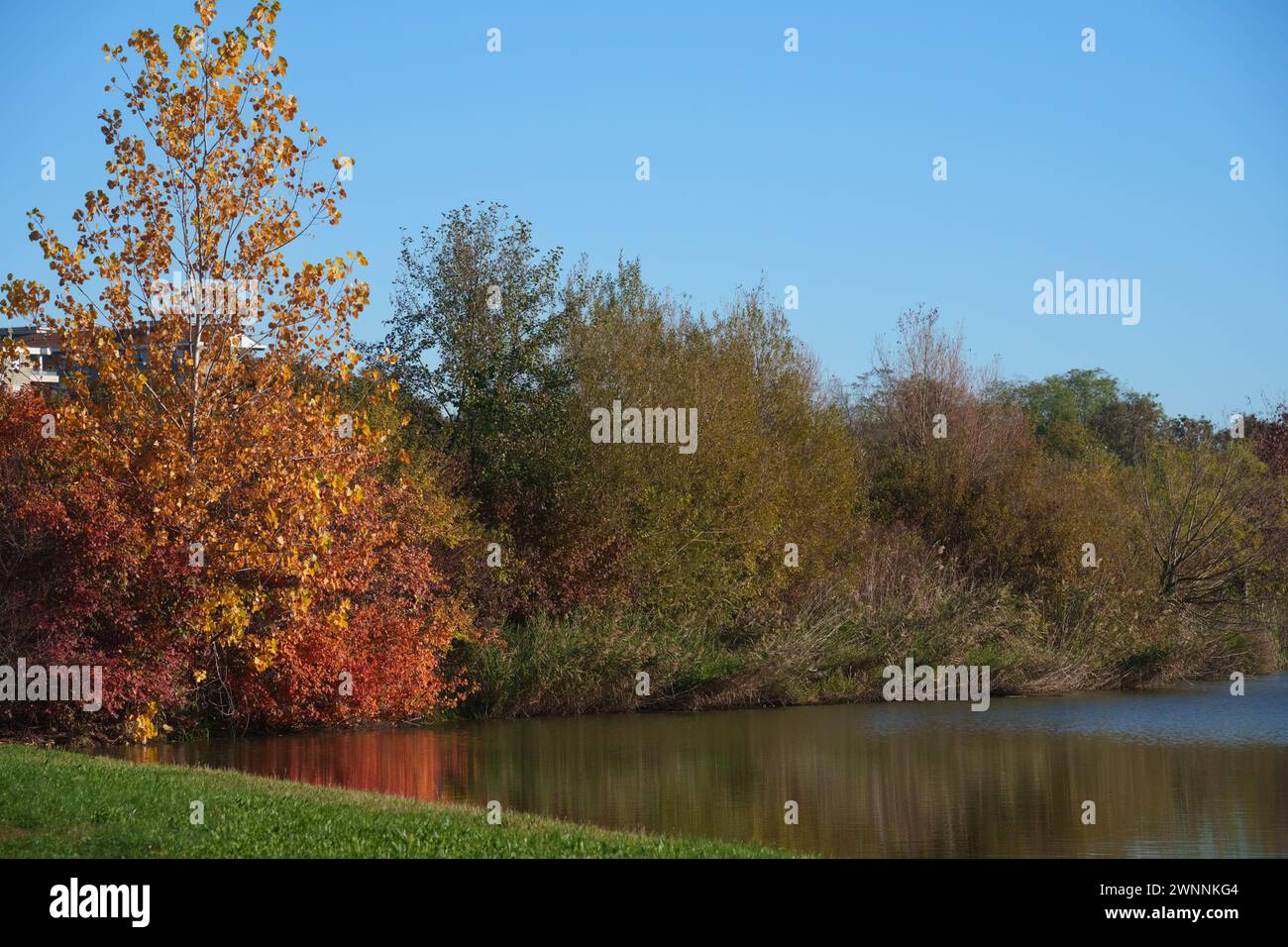 Autumn at Parco Nord, Milan, Lombardy, Italy Stock Photo