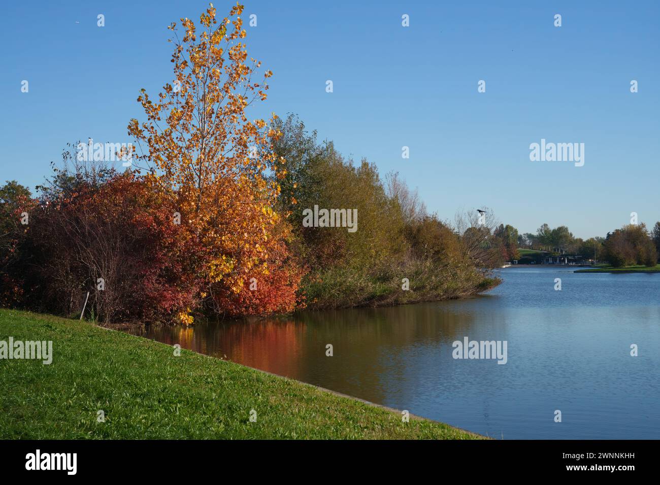 Autumn at Parco Nord, Milan, Lombardy, Italy Stock Photo