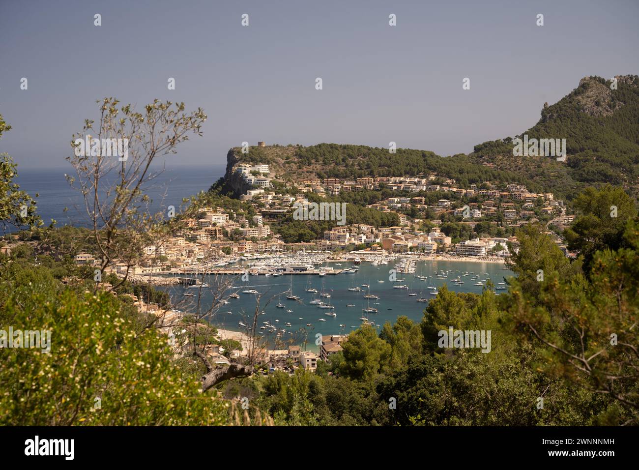 Ajaccio Vaccelli - 2015 - Domaine de Vaccelli main image 1