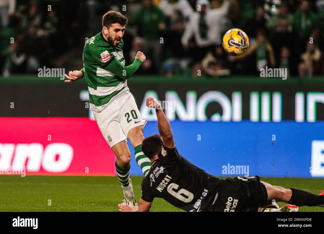 Lisbon, Portugal. 03rd Mar, 2024. Lisbon, 03/03/2024 - Today the Sporting Clube de Portugal team welcomed the SC Farense team to the José Alvalade Stadium in a game counting for the 24th Matchday of the Portugal Betclic League, Season 2023/2024. Paulinho (Mário Vasa/Global Imagens) Credit: Atlantico Press/Alamy Live News Stock Photo