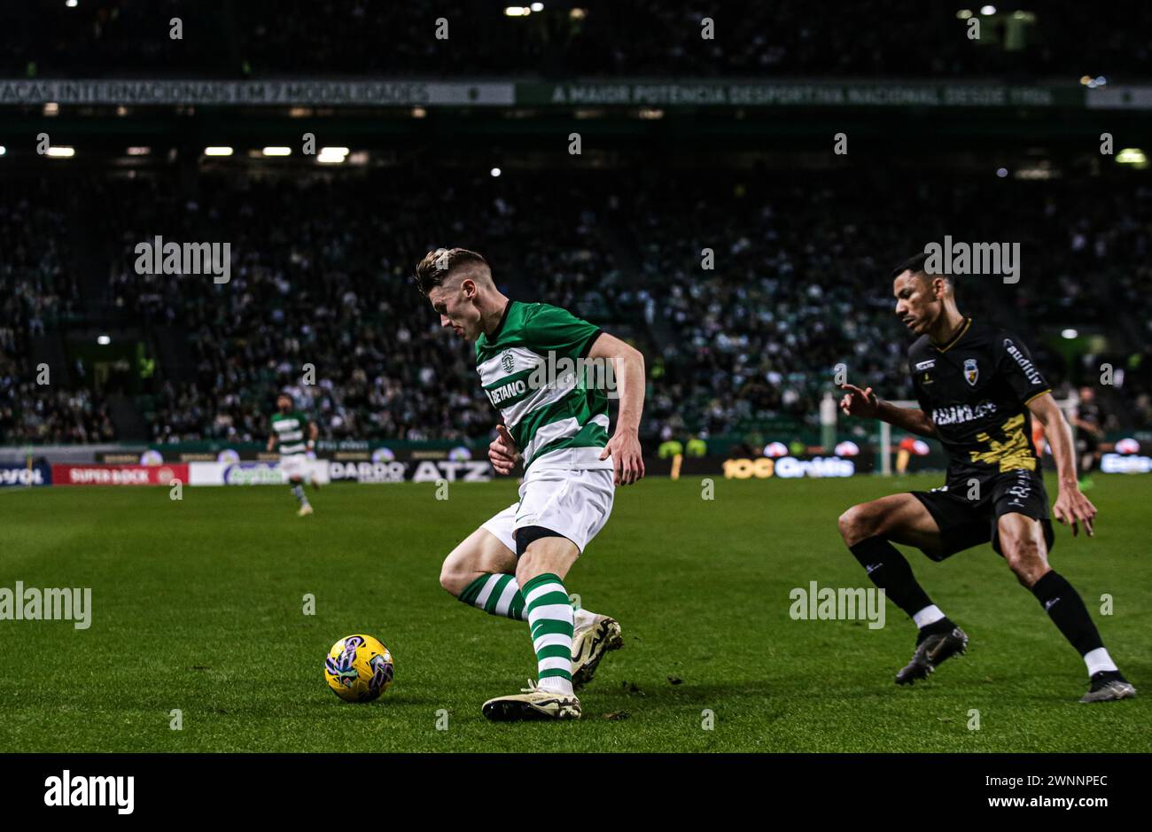 Lisbon, Portugal. 03rd Mar, 2024. Lisbon, 03/03/2024 - Today the Sporting Clube de Portugal team welcomed the SC Farense team to the José Alvalade Stadium in a game counting for the 24th Matchday of the Portugal Betclic League, Season 2023/2024. Gyokeres (Mário Vasa/Global Imagens) Credit: Atlantico Press/Alamy Live News Stock Photo