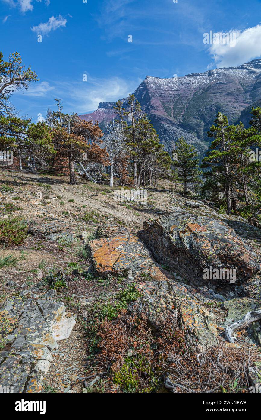 Rugged mountins at Glacier National Park in Montana Stock Photo - Alamy