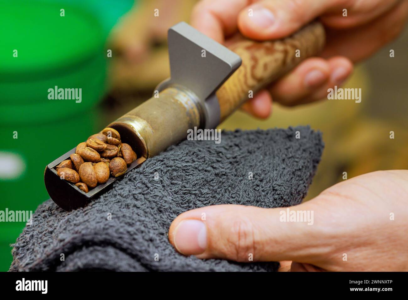 An operator checks roast of variety coffee beans in natural coffee