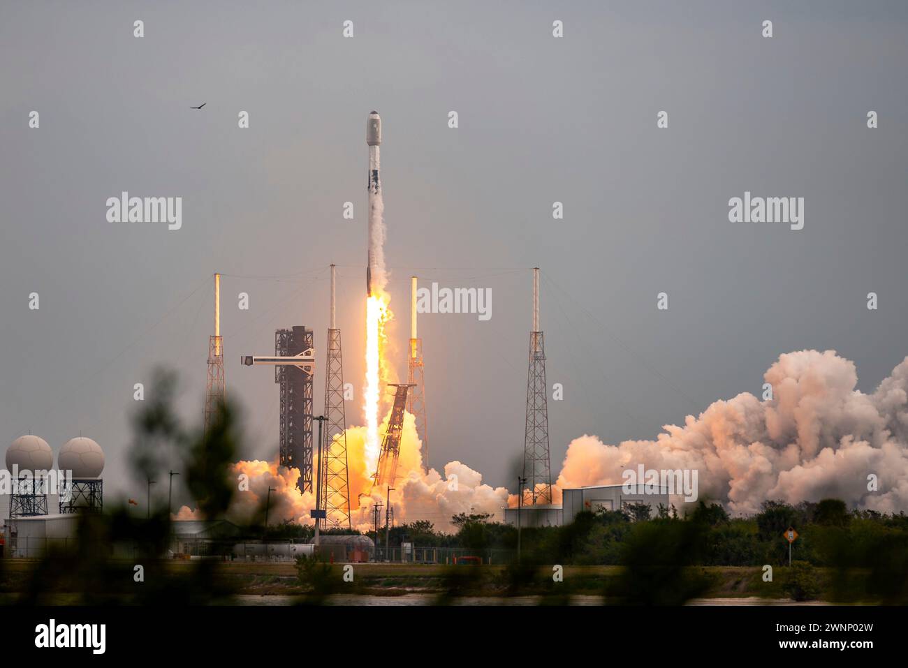 Cape Canaveral, United States of America. 29 February, 2024. The SpaceX Falcon 9 rocket carrying 23 Starlink communications satellites, blasts off from Space Launch Complex 40 at Cape Canaveral Space Force Station, February 29, 2024 in Cape Canaveral, Florida.  Credit: Joshua Conti/USSF Photo/Alamy Live News Stock Photo