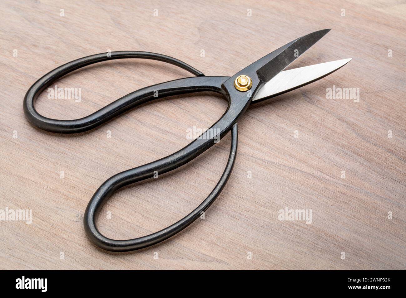Japanese slim ohkubo shears for flower arrangement Stock Photo Alamy