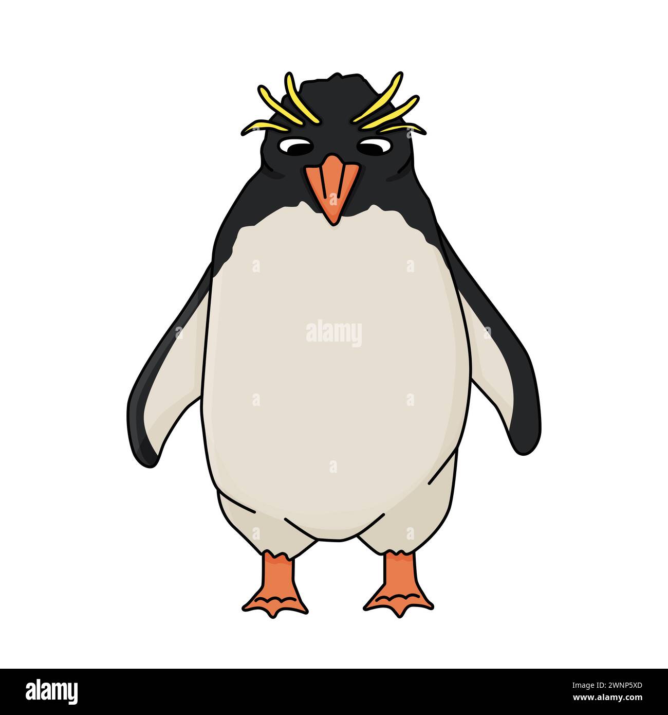 Macaroni penguin. Vector cartoon hand drawn illustration of the crested