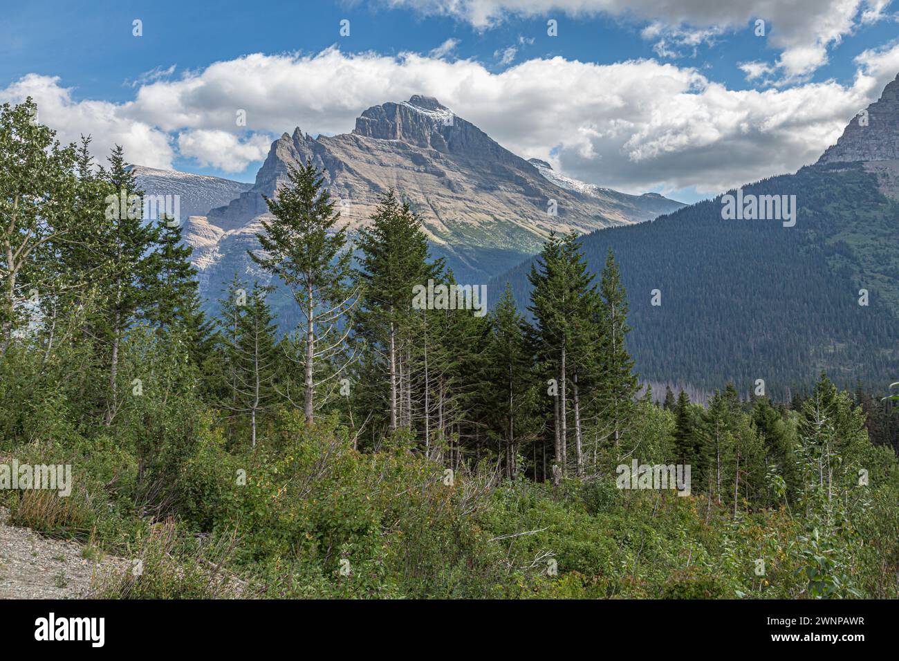 Rugged mountins at Glacier National Park in Montana Stock Photo - Alamy
