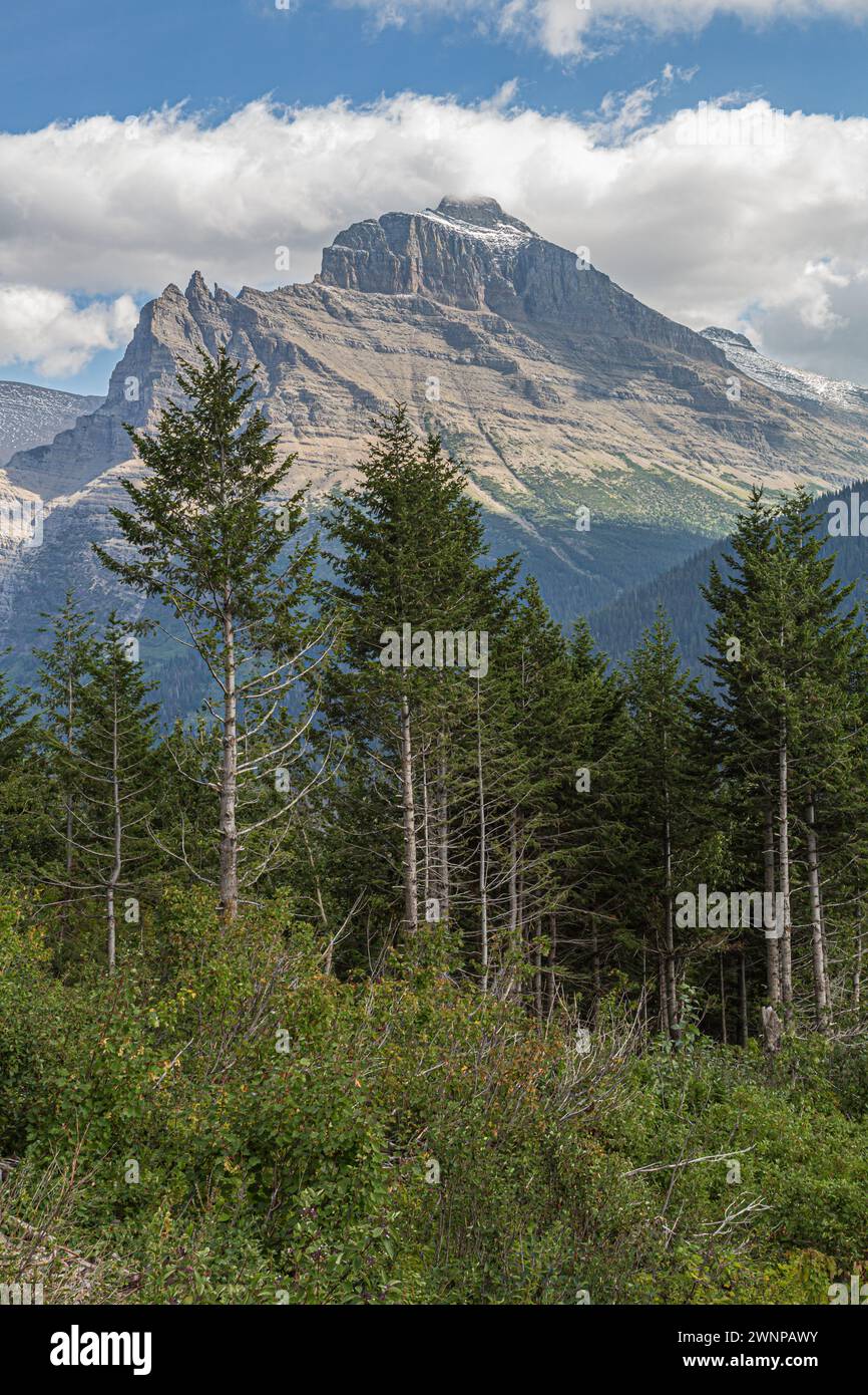 Rugged mountins at Glacier National Park in Montana Stock Photo - Alamy