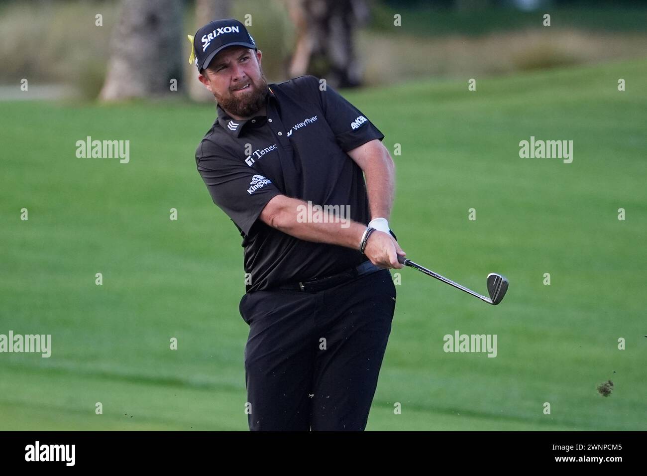 Lush Cognizant Classic: Shane Lowry Crumbles To Let Three-shot Lead Slip Capture in 4K Lush Cognizant Classic: Shane Lowry Crumbles To Let Three-shot Lead Slip Capture in 4K