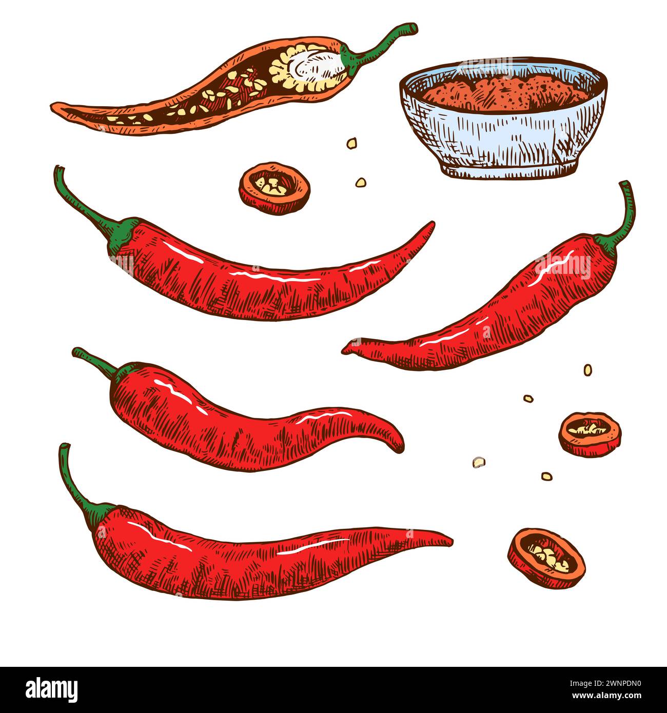 Set of hand drawn chili pepper with various elements. Vector ...