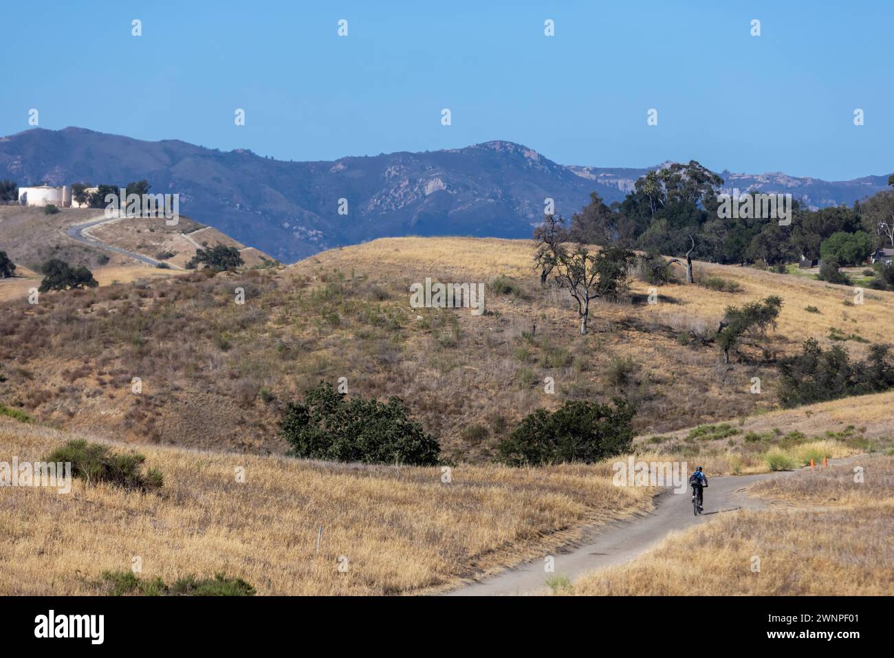 Mountain bikers take advantage of the fireroads as they traverse the