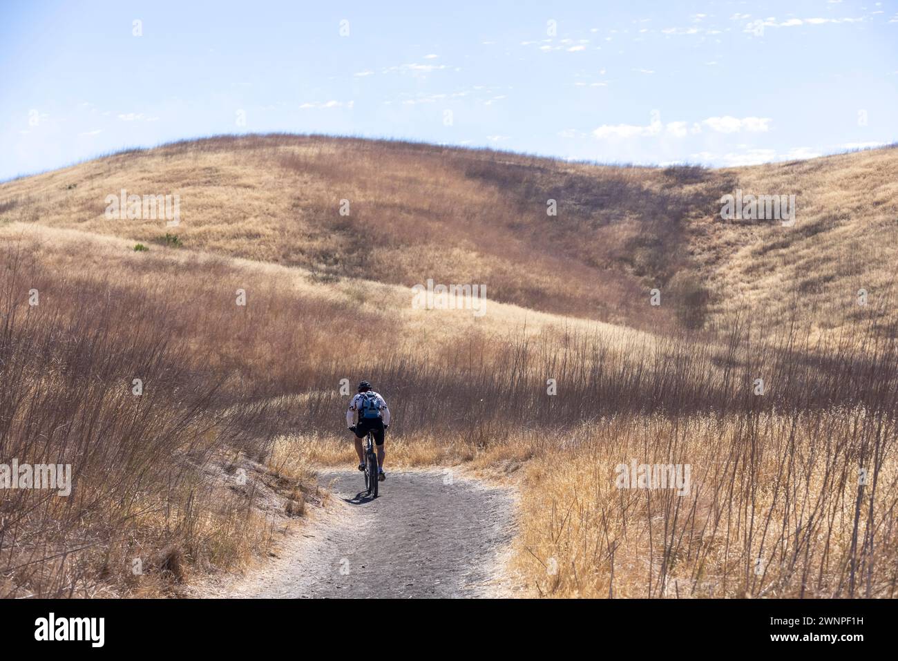 Mountain bikers take advantage of the fireroads as they traverse the