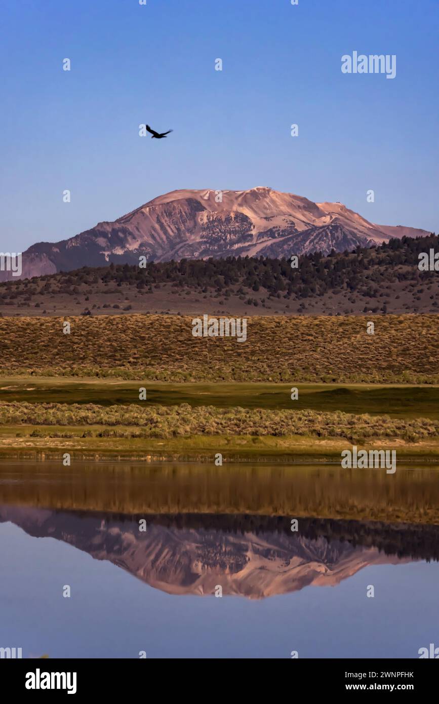 The Sherwin Mountains and Mammoth Mountain glow in the warm reflection of a small lake. Stock Photo