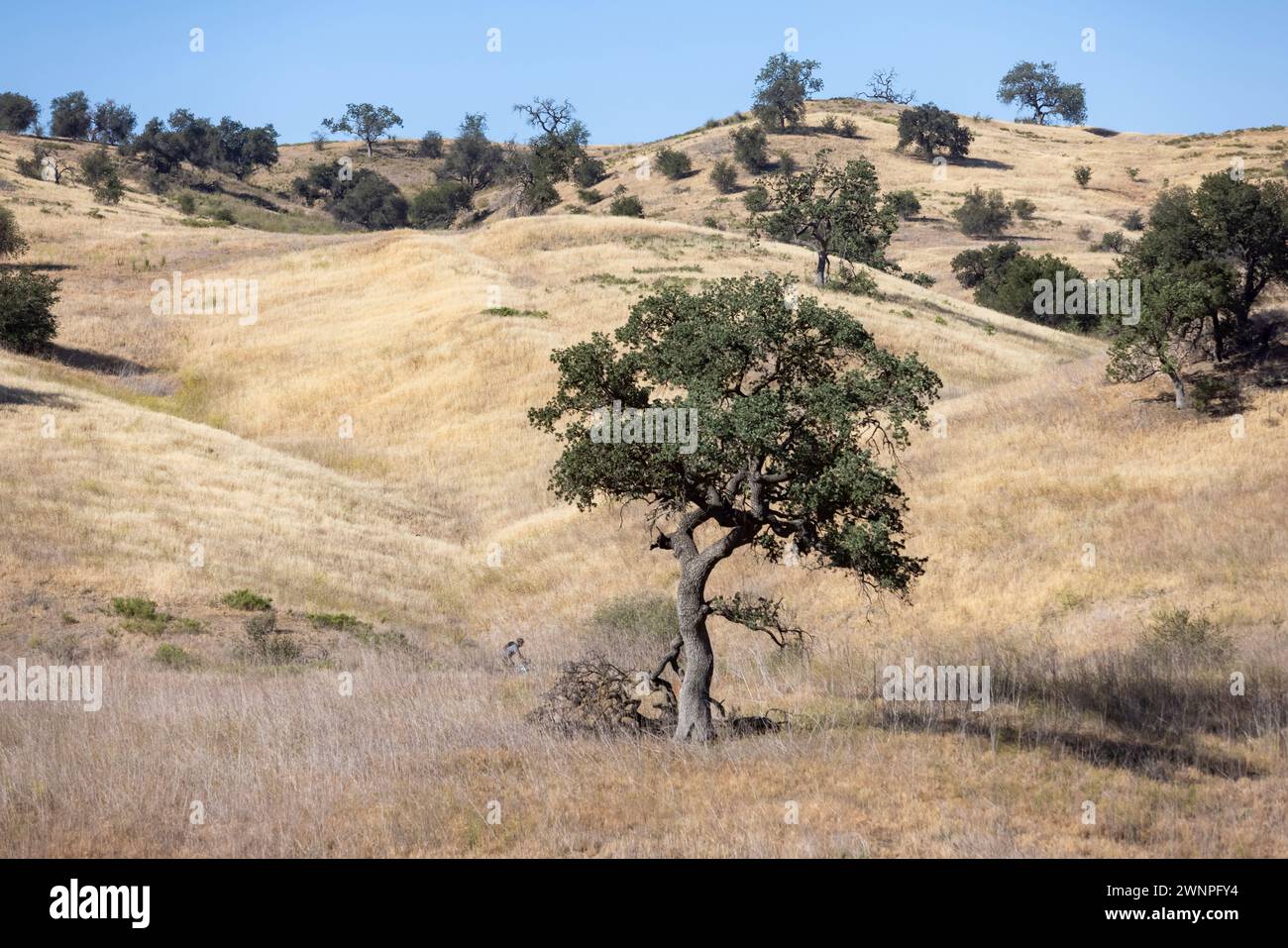 Mountain bikers take advantage of the fireroads as they traverse the