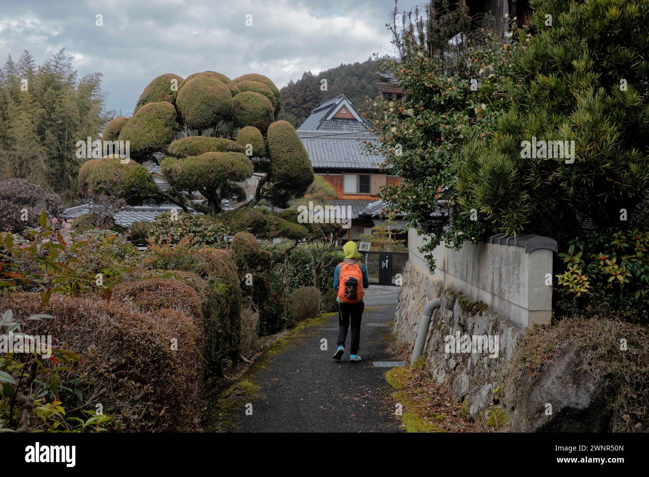 Traditional home with bonsai tree on the historical Yagyu Kaido trail, Ninnikusencho, Nara,  Japan Stock Photo