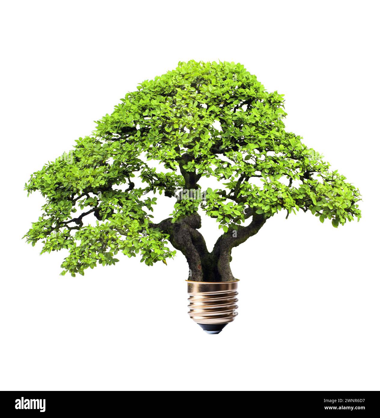 Light bulb with growing green tree. Ecological technology,  eco friendly, sustainable environment, Saving energy, conserving resource concept. Isolate Stock Photo