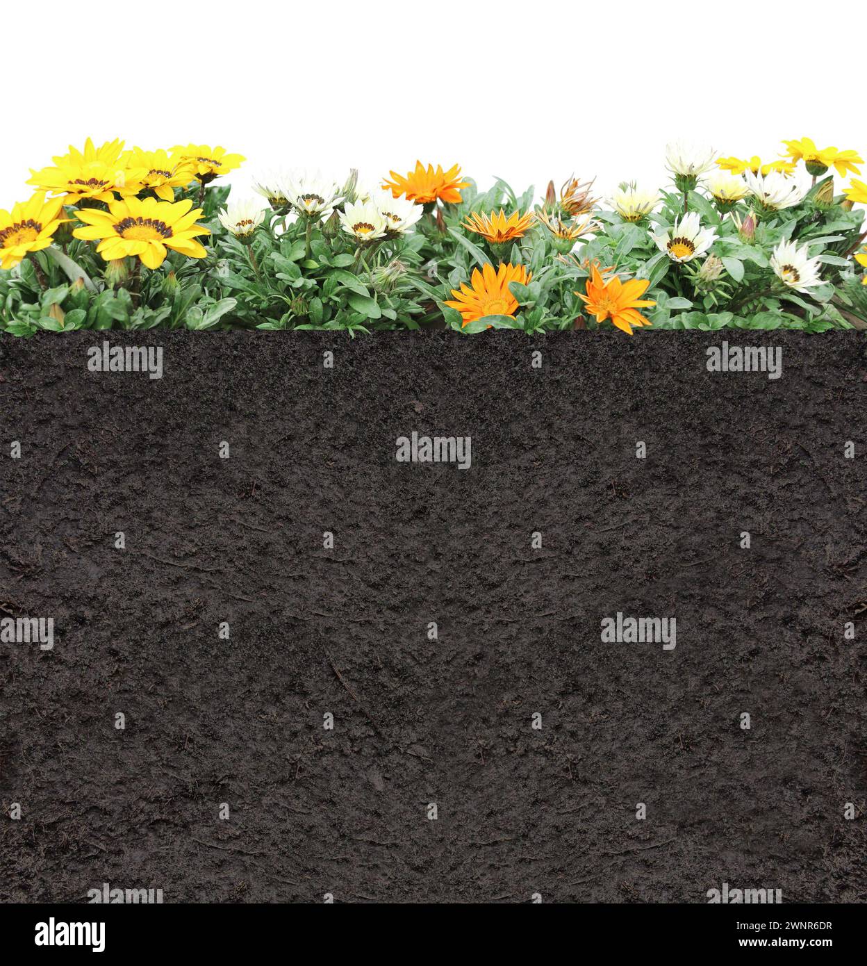 Environmental and conservation protection backdrop. Cross section of