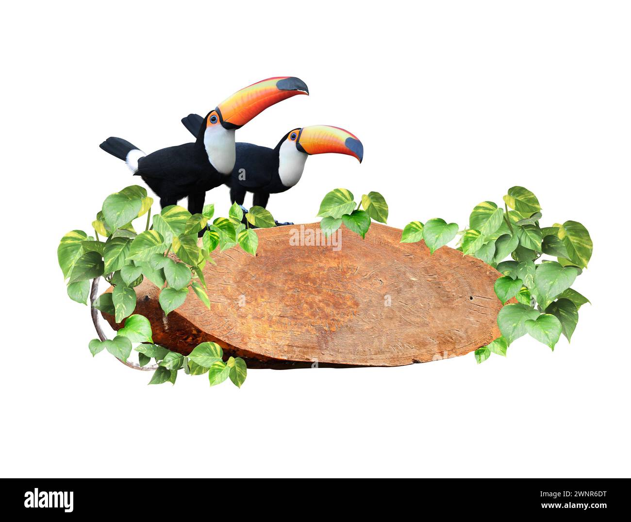 Ornament - Toucan Raw Wood Ornament - Toucan Raw Wood