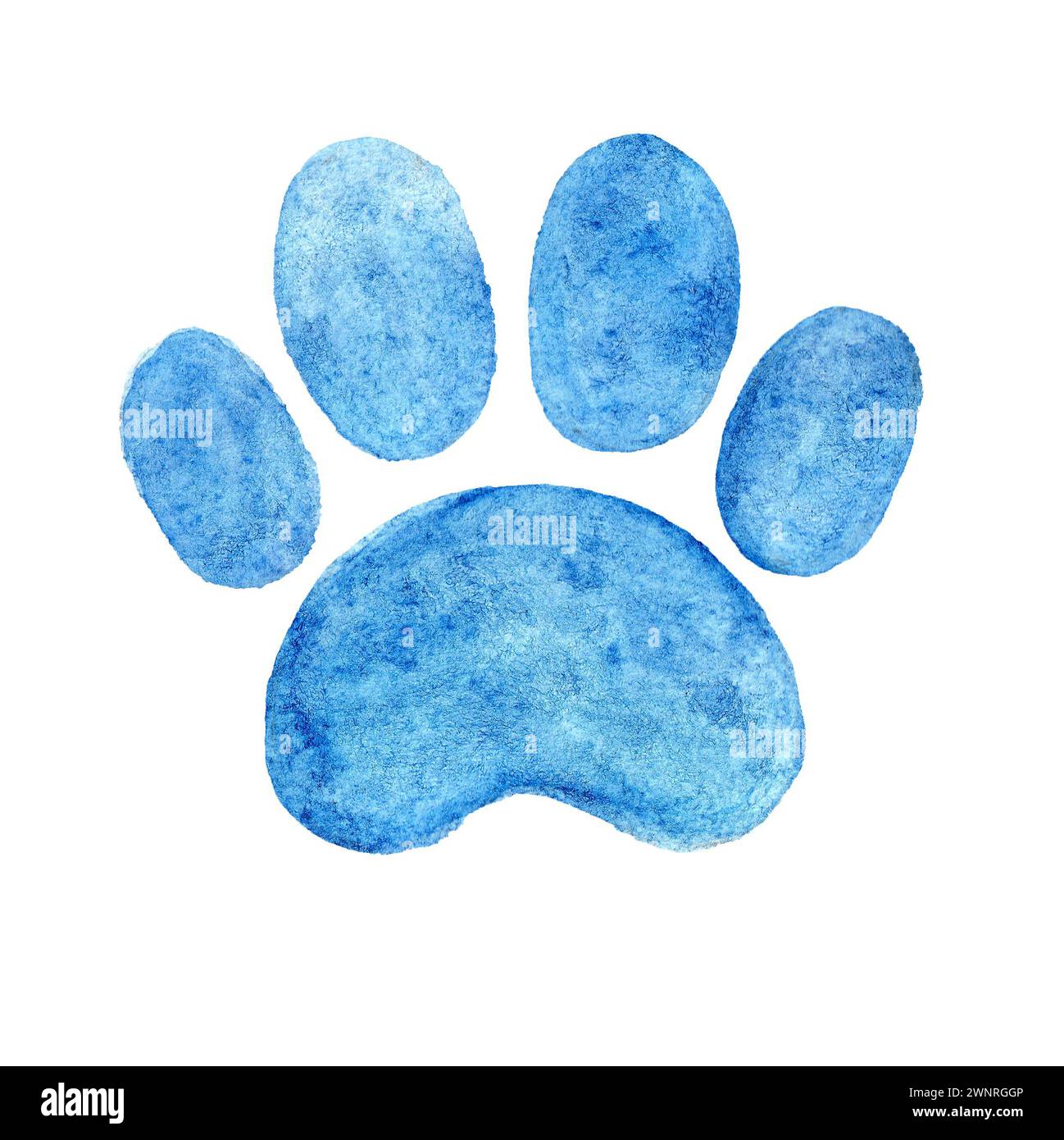 Silhouette of a pet's paw. Isolated on white background. Blue color