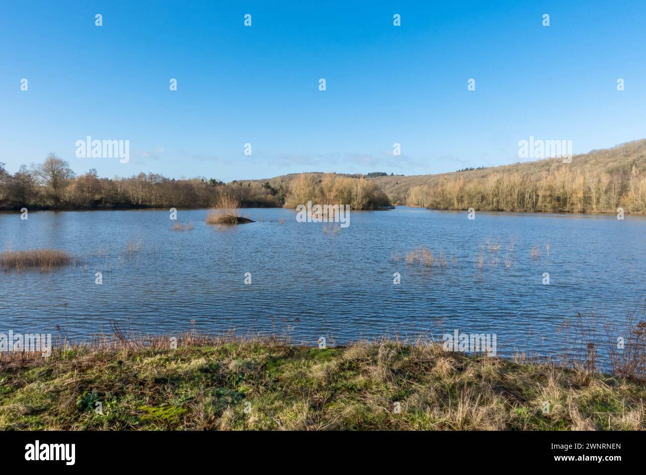 A sunny and cloudless day around Bodenham Lake Herefordshire England UK