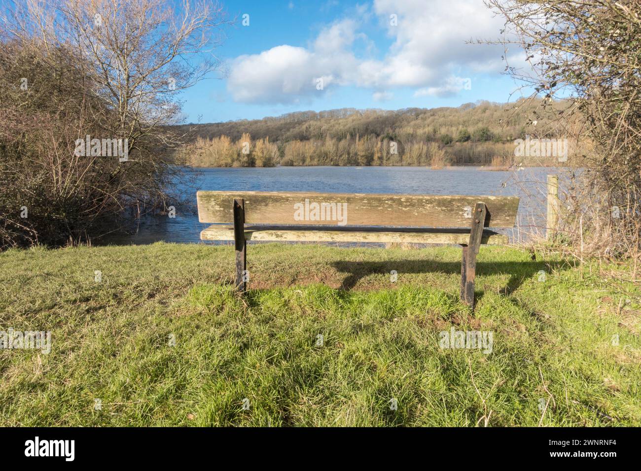 The western bank and bench of Bodenham Lake Herefordshire England UK