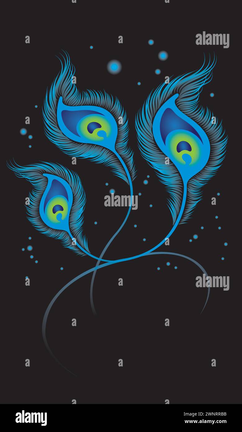 Vector of elegant peacock feathers. Stock Vector