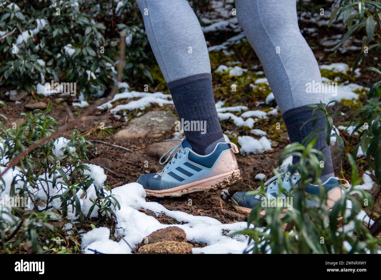 adidas gazelle silver green womens adidas Performance x H.Koumori Ultraboost 5