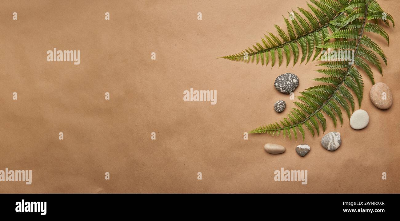 Eco-friendly summer background with ferns and pebbles and ample copy space. Extra wide banner. Stock Photo