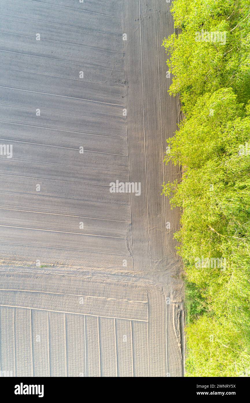 overhead aerial drone view of a plowed agricultural field with trees on the edge of the field, vertical view Stock Photo
